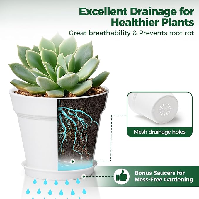 T4U 6 Inch Plant Pot 8-Pack, Plastic Planter - Image 4