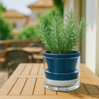 D'vine Dev 6 Inch Design Self Watering Planter - Image 3