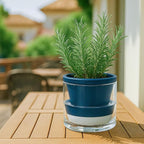 D'vine Dev 6 Inch Design Self Watering Planter - Image 7