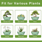 Bonsai Pots 11 Inch - Image 7