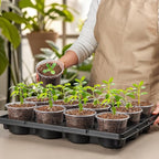 12 Cell Nursery Pot Trays 5 Pack - Image 6