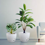 12/10/9 inch Large Self Watering Pots, Plant Pots - Image 7
