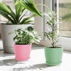7 inch Plant Pots, 5 Pack Flower Pots - Image 7