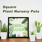 Anyumocz 24Pcs 3" Square Plastic Plant Pots, Seedling Nursery Transplanting - Image 7
