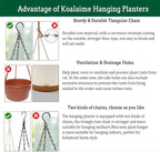 Hanging Planter Self Watering 10 Inch, 2 Pack Indoor Outdoor Hanging Baskets - Image 6