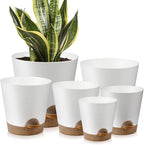 Indoor Self Watering Planters by AFamilyofGardenLovers