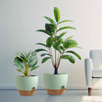 10/9/8 inch Self Watering Pots, Plant Pots - Image 7