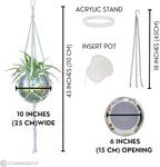SCANDINORDICA Disco Ball Planter – Value Package: Mirror Disco Planter - Image 3