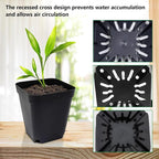 Square Nursery Pots 3" 120Pcs Deep Succulent Plastic Pots Small Flower Planter - Image 4