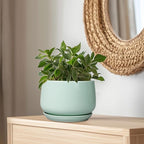 G EPGardening Ceramic Pots for Plants - Image 5