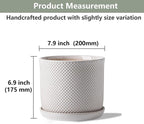 8 Inch Plant Pot: Ceramic Planter - Image 2