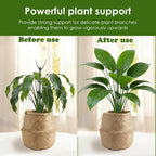 Stackable Monstera Moss Pole - Image 6