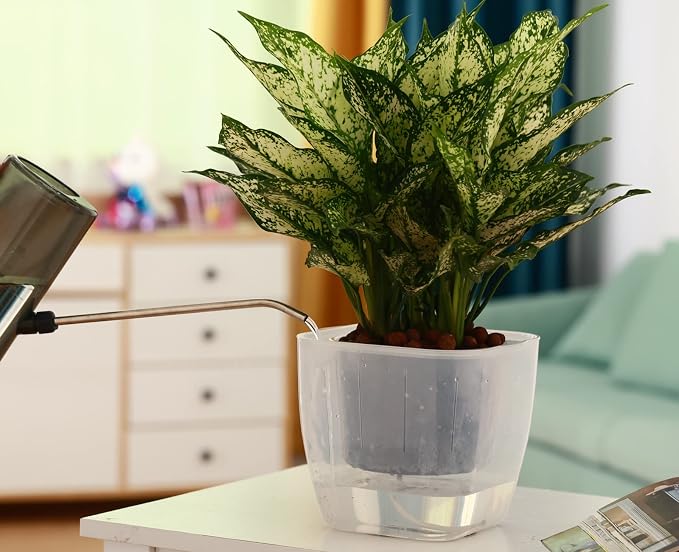6-Pack 7 Inches Clear Self Watering Planters - Image 7