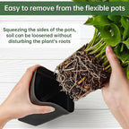 BTPLASTIK Small Plant Pots 3.5 Inch, Durable Plastic Succulents Pots - Image 3