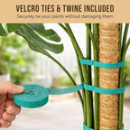 Moss Pole Monstera Plant Support – 2 Pack 28” Bendable Moss Pole Monstera Plant - Image 3