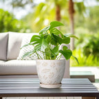 Ceramic Planter Pot - Image 2