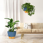 ZMTECH 12 Inch Hanging Planters - Image 6