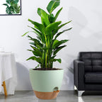 12 inch Large Self Watering Pots, Plastic Planters - Image 6