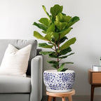 SQOWL Ceramic Pots for Plants - Image 2