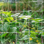 Tcamp Heavy-Duty Polyester Garden Trellis Net Plant Support Netting - Image 6