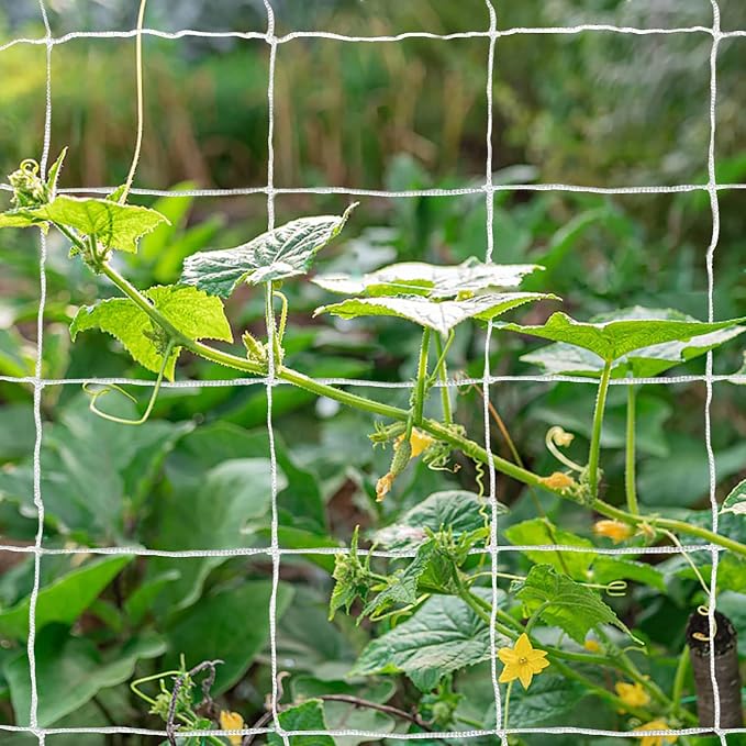 Tcamp Heavy-Duty Polyester Garden Trellis Net Plant Support Netting - Image 6