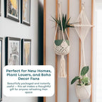 Nook Theory 4-Pack Macrame Plant Hangers - Image 8