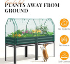 KING BIRD Large Raised Garden Bed - Image 4