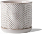 5.8 Inch Plant Pot: Ceramic Planter by Chubacoo