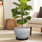 Ceramic Planters for Indoor Plants - Image 2