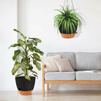 GARDIFE Large Hanging Planter, 12 inch Hanging planters - Image 4