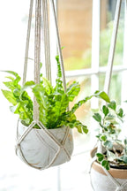 Dahey Macrame Plant Hanger Indoor Hanging Planter Basket Handmade Woven Cotton - Image 4