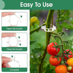 150 Pcs Plant Clips for Climbing Plants, Tomato Clips for Support, Plastic - Image 3