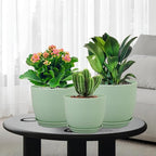 Medium Plant Pots 10/9/8 inch, Flower Pots - Image 7