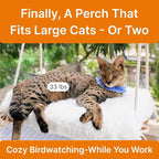 Large Cat Window Perch with Industrial-Grade Suction Cups - Image 2