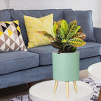 7.8 Inch Planter Pot with Metal Craft Legs, Self Watering Planter Pots with - Image 6