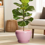 Ceramic Modern Glaze Succulent Planter Pot - Image 2