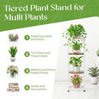 iDavosic.ly 4 Tier Corner Plant Stand Indoor, 45 Inch Tall Vertical Metal - Image 5