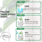Ollas Plant Watering Globes - Image 6