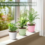 10 Pack 6 Inch Plant Pots with Drainage and Saucers, Plastic Flower Pots - Image 4