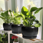 SQOWL Ceramic Plant Pots - Image 6