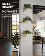Bamworld Wall Plant Holder Wall Planters - Image 4
