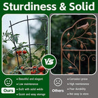 4 Pack 43'' Indoor Plant Trellis - Image 8