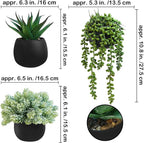 Winlyn Set of 3 Artificial Succulent Plants in Black Concrete Pots Faux Aloe - Image 2
