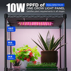 Barrina CX83 Plant Stand with Grow Lights, 6-Tier Plant Shelf with 10W Full - Image 7