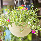 7 Pack 8 Inch Plastic Self-Watering Hanging Planters, Colorful Garden Flower - Image 7