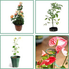 8 Pack Plant Stakes, Plant Support Stakes - Image 5