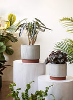 LE TAUCI Ceramic Pots for Plants, 8+6.7+5.5 Inch Plant Pots Indoor, Flower Pot - Image 3