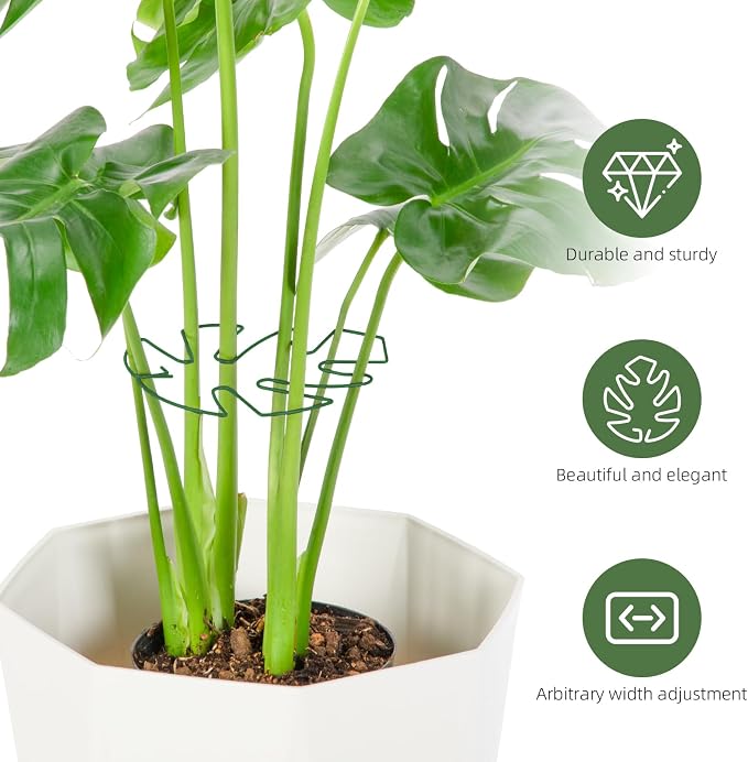 10PCS Iron Monstera Plant Support, Uniquely Designed Indoor Plant Accessories - Image 4