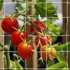 Tcamp Trellis Netting for Climbing Plants Outdoor Indoor by Tcamp