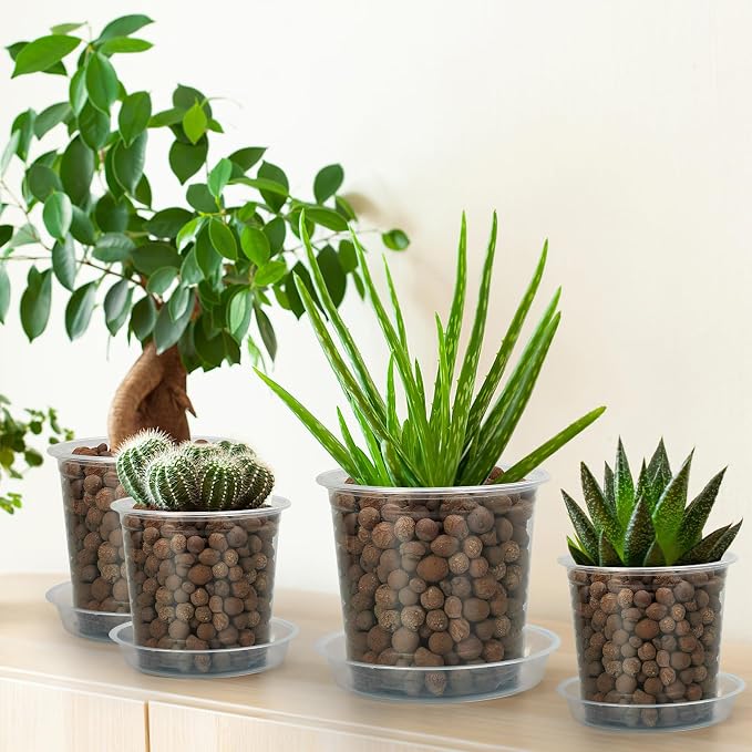 4/5/6/7 Inch Clear Nursery Pots - Image 6